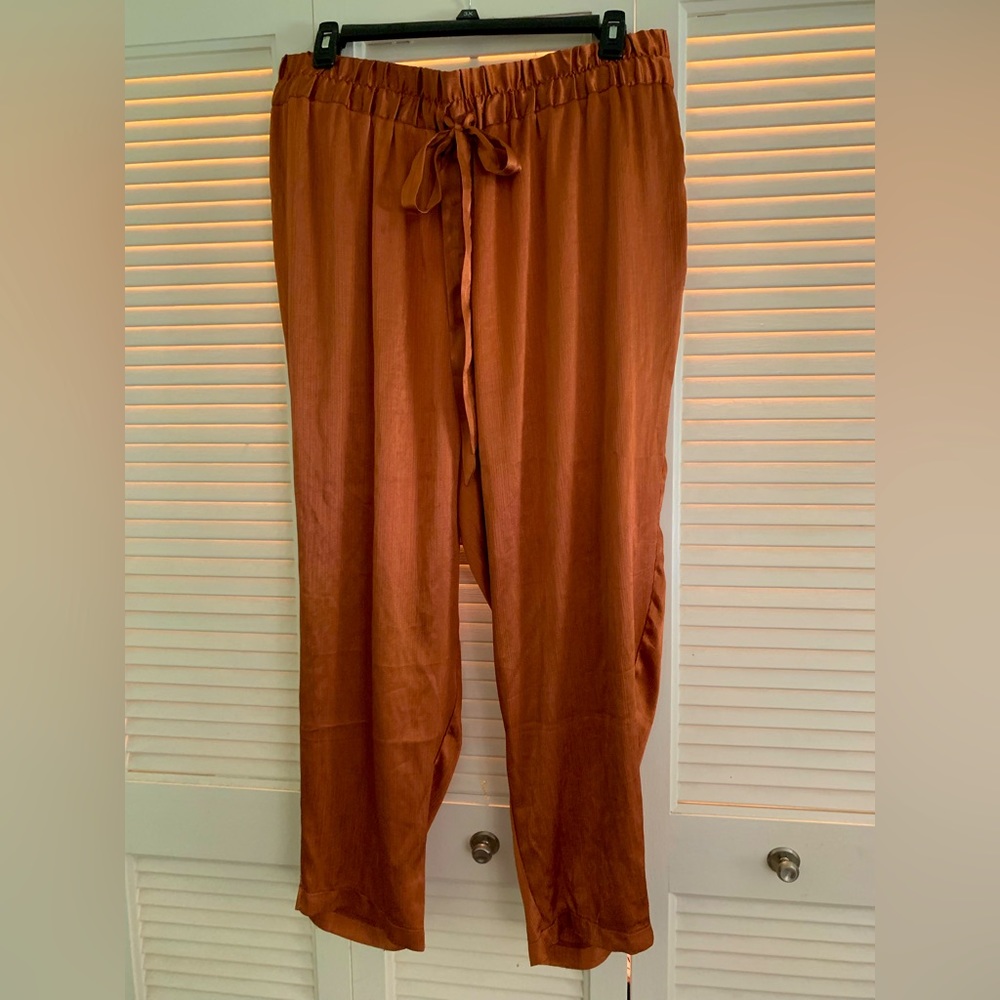 Eloquii soft pants in rust satin, size 22.